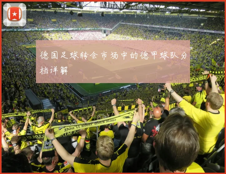德国足球转会市场中的德甲球队分档详解