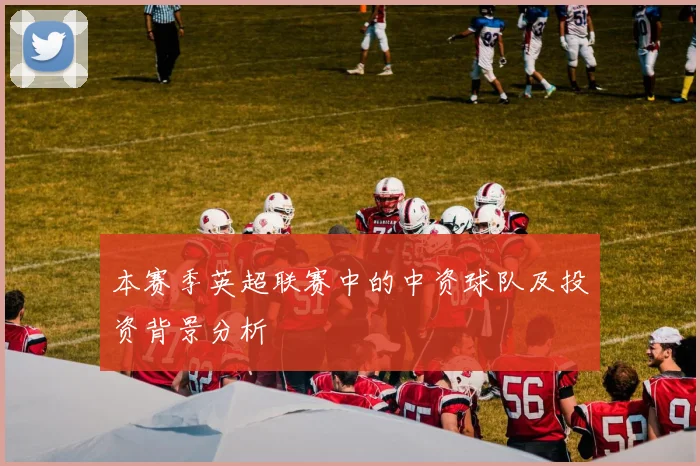 本赛季英超联赛中的中资球队及投资背景分析