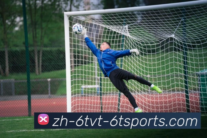 6T体育平台生态图